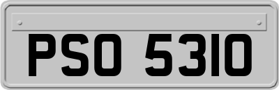 PSO5310