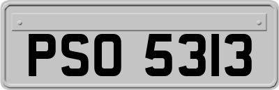 PSO5313