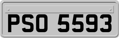 PSO5593