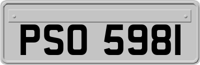 PSO5981
