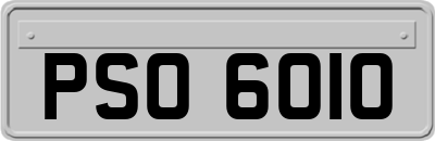 PSO6010