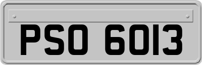 PSO6013
