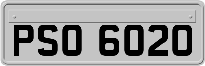 PSO6020