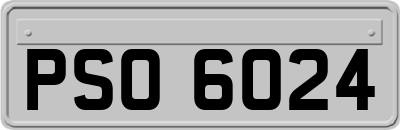 PSO6024