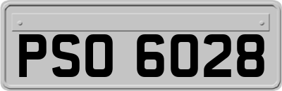 PSO6028
