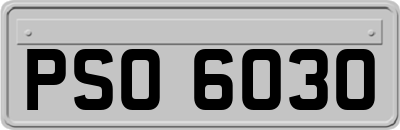 PSO6030