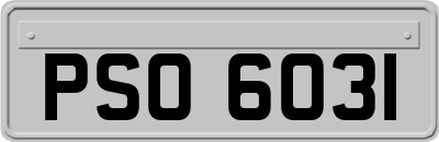 PSO6031