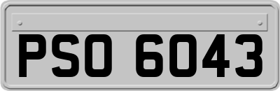 PSO6043