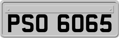 PSO6065
