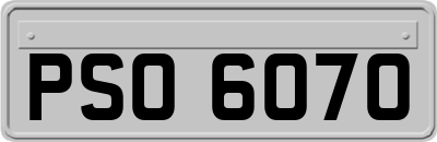 PSO6070
