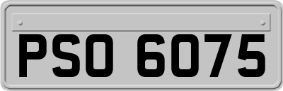PSO6075