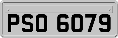 PSO6079