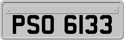 PSO6133