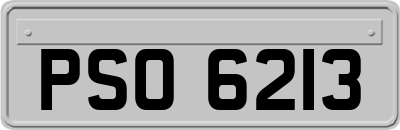 PSO6213