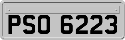 PSO6223