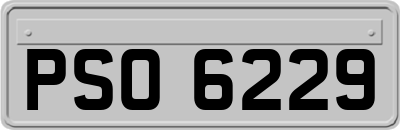 PSO6229