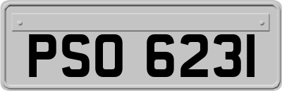 PSO6231