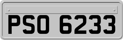 PSO6233