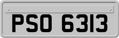PSO6313