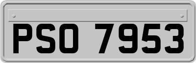 PSO7953