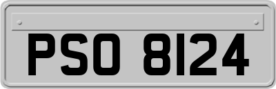 PSO8124