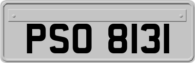 PSO8131