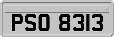 PSO8313