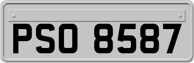 PSO8587