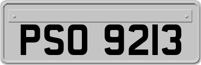 PSO9213