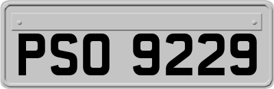 PSO9229