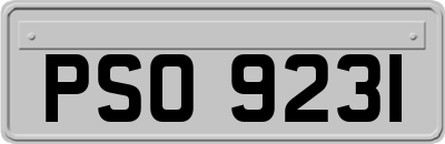 PSO9231