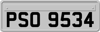 PSO9534