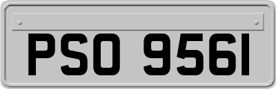 PSO9561