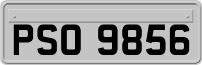 PSO9856
