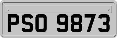 PSO9873