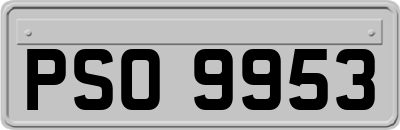 PSO9953