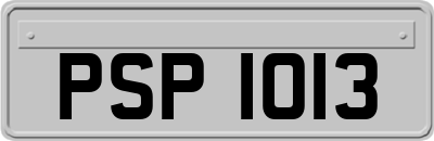 PSP1013