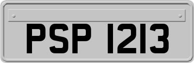 PSP1213
