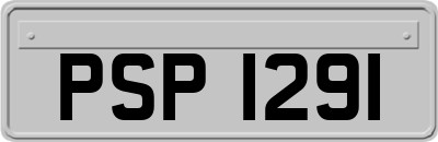 PSP1291