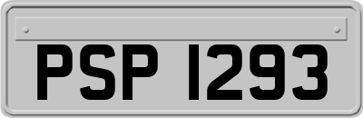 PSP1293