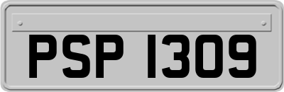 PSP1309
