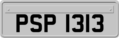 PSP1313
