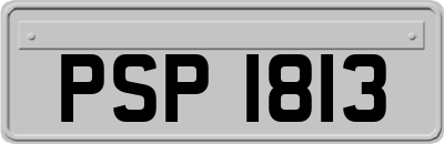 PSP1813