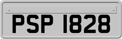 PSP1828