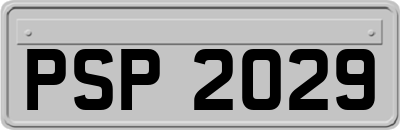 PSP2029