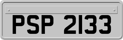 PSP2133