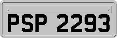 PSP2293