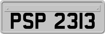 PSP2313