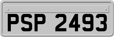 PSP2493