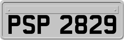 PSP2829